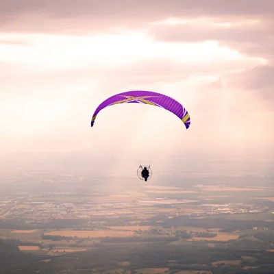 ITV WINGS Wasabi